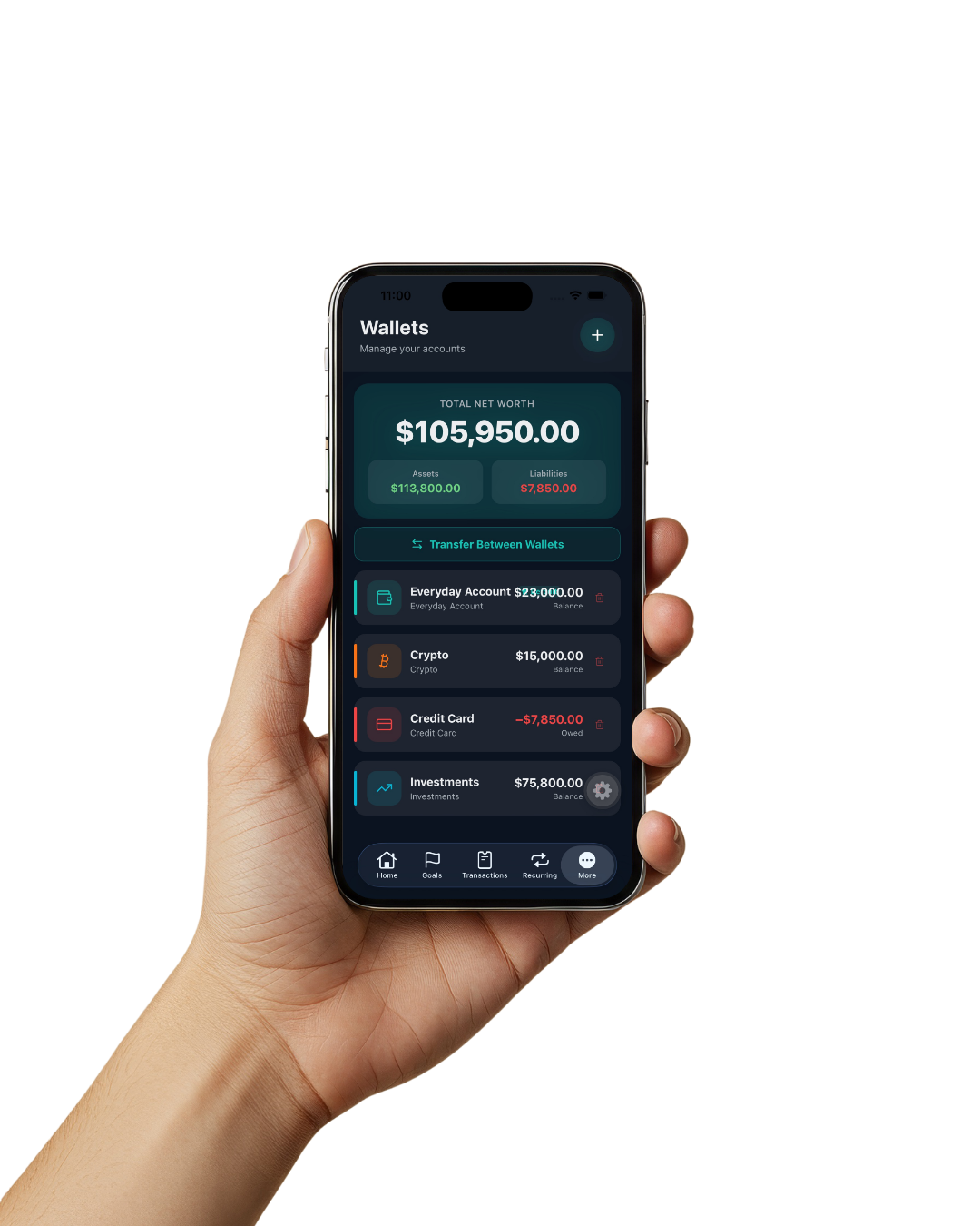 DoshMngr app — Wallets screen showing total net worth across multiple accounts